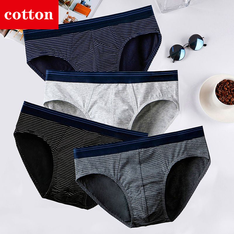 4Pcs/Lot Men's Briefs Sexy Underwear Men Cotton Underpants Comfortable Print Panties Male Lingerie Breathable Cuecas