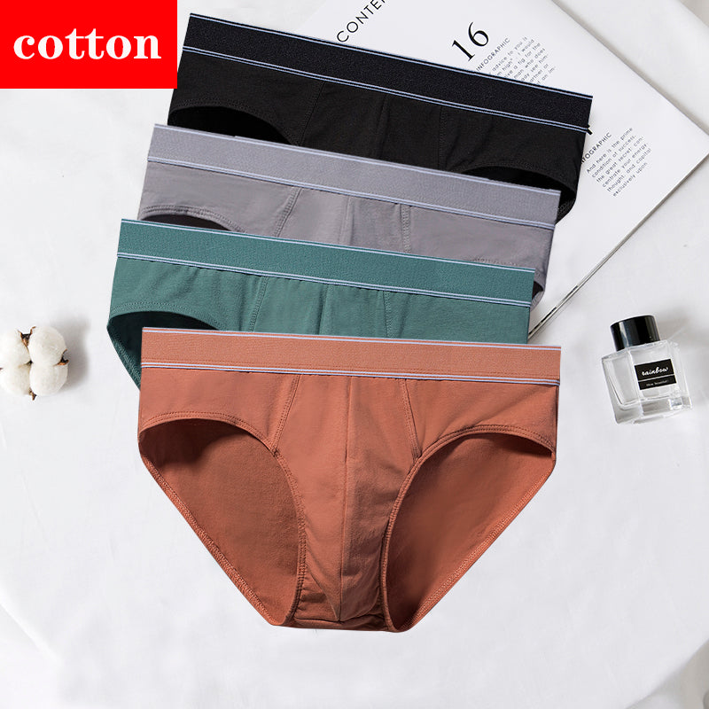 4Pcs/Lot Men's Briefs Sexy Underwear Men Cotton Underpants Comfortable Print Panties Male Lingerie Breathable Cuecas