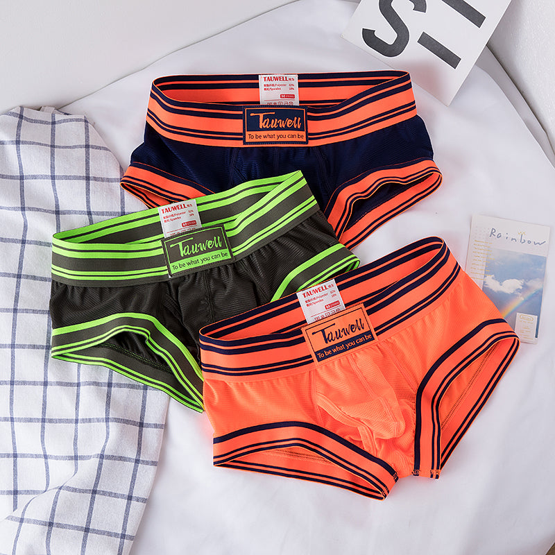 Trendy Mesh Boxer Shorts | 3-Pack Sexy Men's Underwear | YourEAJ7