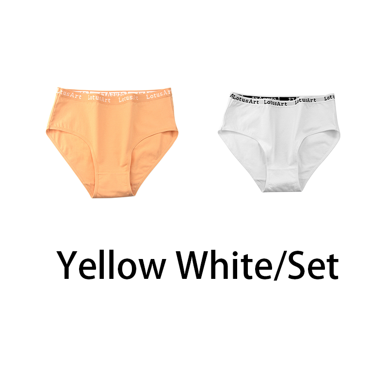 2-Piece Cotton High-Waist Briefs | Sexy Plus-Size Underwear | YourEAJ7