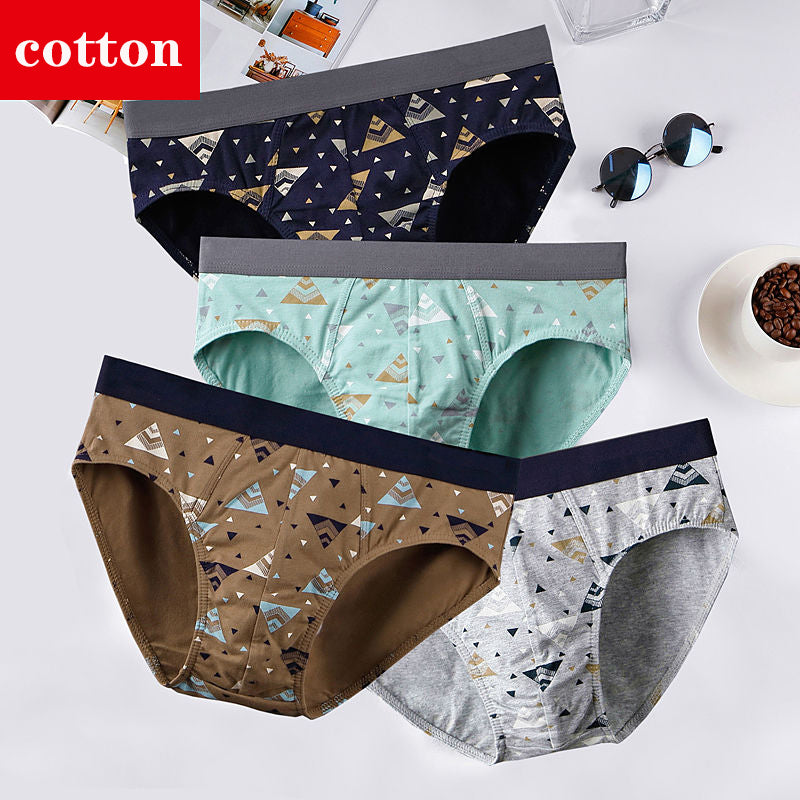 4Pcs/Lot Men's Briefs Sexy Underwear Men Cotton Underpants Comfortable Print Panties Male Lingerie Breathable Cuecas