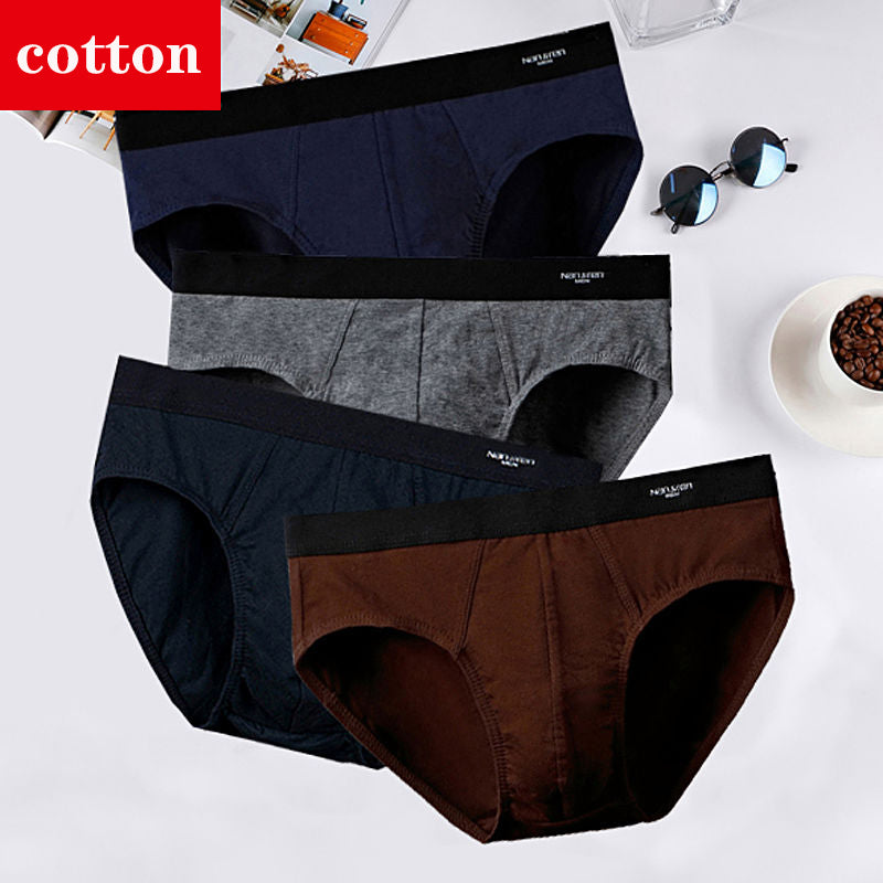 4Pcs/Lot Men's Briefs Sexy Underwear Men Cotton Underpants Comfortable Print Panties Male Lingerie Breathable Cuecas