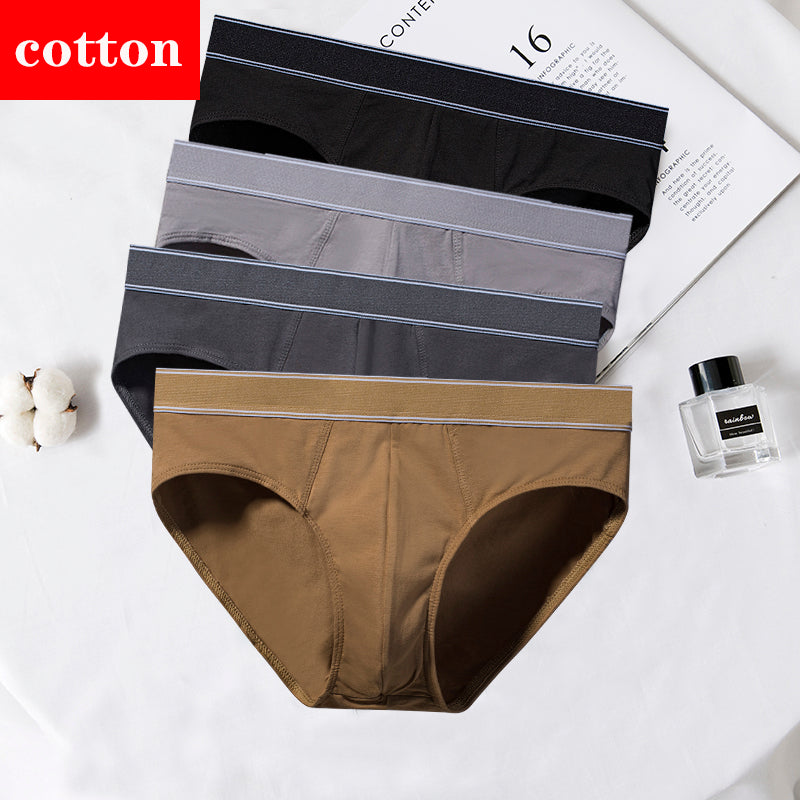 4Pcs/Lot Men's Briefs Sexy Underwear Men Cotton Underpants Comfortable Print Panties Male Lingerie Breathable Cuecas