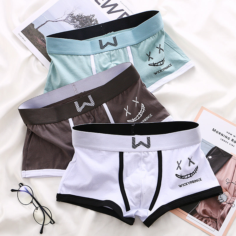 3pcs Mens Underwear Man Solid Shorts Underpants Cotton Man Panties Boxer Underwear for Male U-Convex Sexy Set Soft Boy Boxers