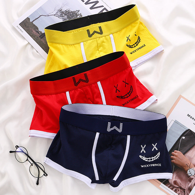 3pcs Mens Underwear Man Solid Shorts Underpants Cotton Man Panties Boxer Underwear for Male U-Convex Sexy Set Soft Boy Boxers