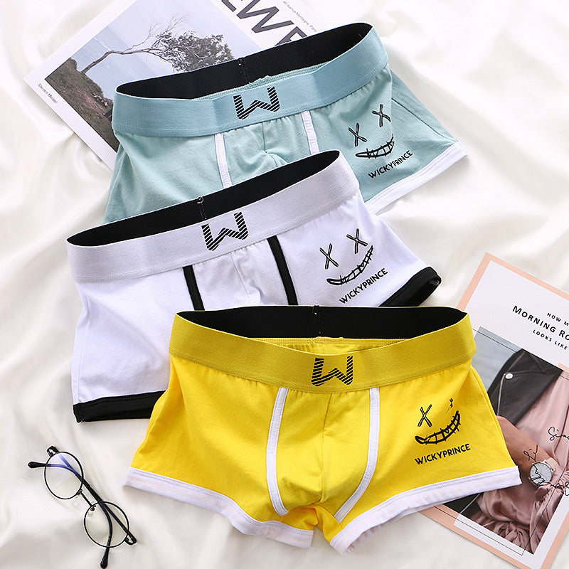 3pcs Mens Underwear Man Solid Shorts Underpants Cotton Man Panties Boxer Underwear for Male U-Convex Sexy Set Soft Boy Boxers