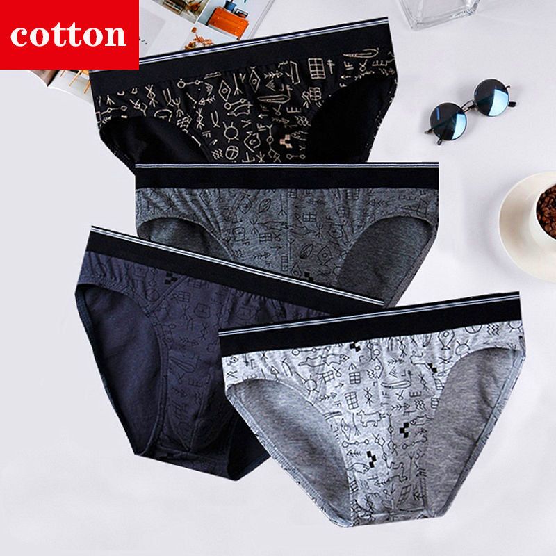 4Pcs/Lot Men's Briefs Sexy Underwear Men Cotton Underpants Comfortable Print Panties Male Lingerie Breathable Cuecas