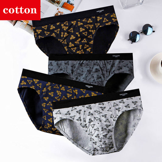 4Pcs/Lot Men's Briefs Sexy Underwear Men Cotton Underpants Comfortable Print Panties Male Lingerie Breathable Cuecas