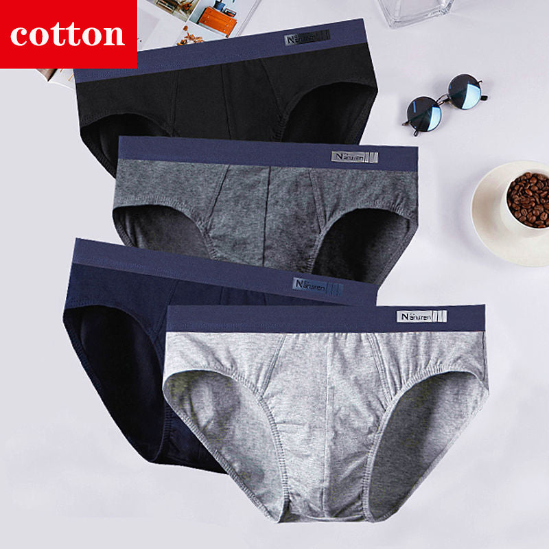 4Pcs/Lot Men's Briefs Sexy Underwear Men Cotton Underpants Comfortable Print Panties Male Lingerie Breathable Cuecas