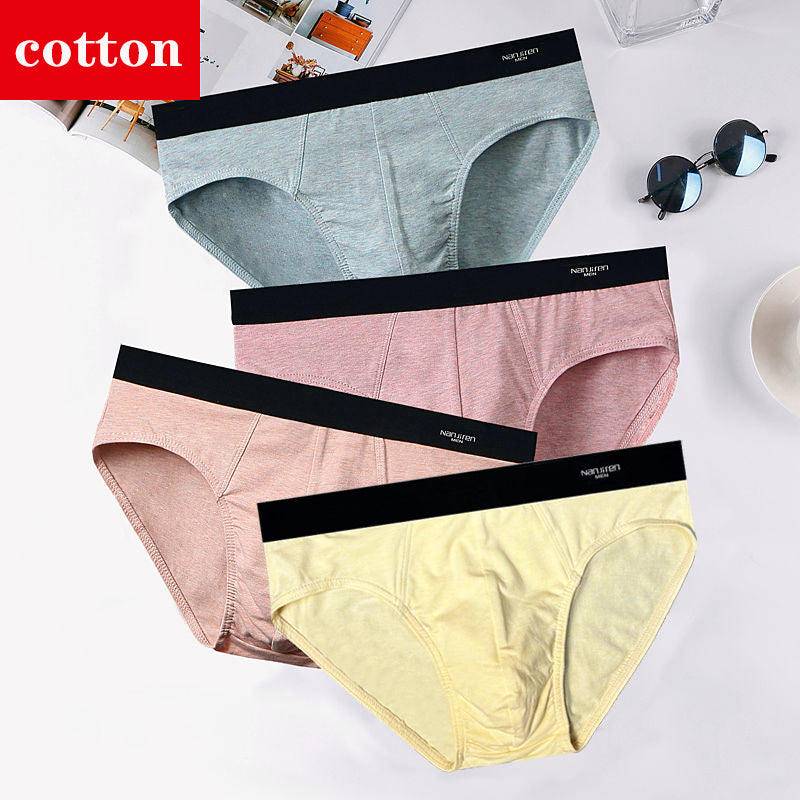 4Pcs/Lot Men's Briefs Sexy Underwear Men Cotton Underpants Comfortable Print Panties Male Lingerie Breathable Cuecas