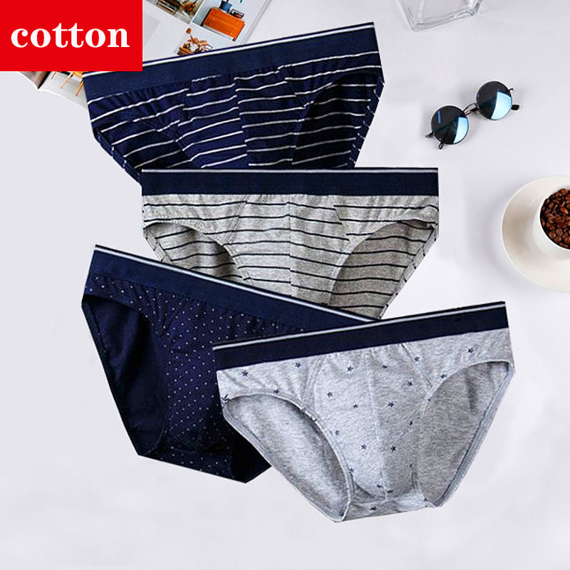 4Pcs/Lot Men's Briefs Sexy Underwear Men Cotton Underpants Comfortable Print Panties Male Lingerie Breathable Cuecas