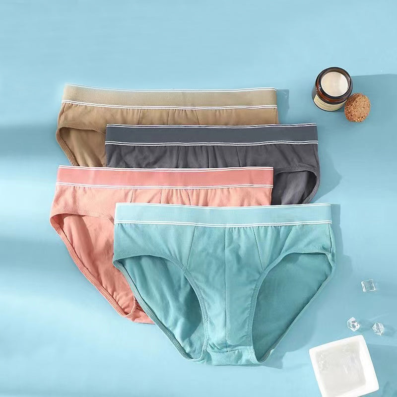 4Pcs/Lot Men's Briefs Sexy Underwear Men Cotton Underpants Comfortable Print Panties Male Lingerie Breathable Cuecas